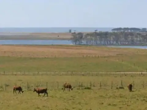 Venta, lote, El Chajá, Exaltación de la Cruz