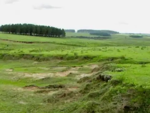 Terreno en Venta de 100000,0 m2