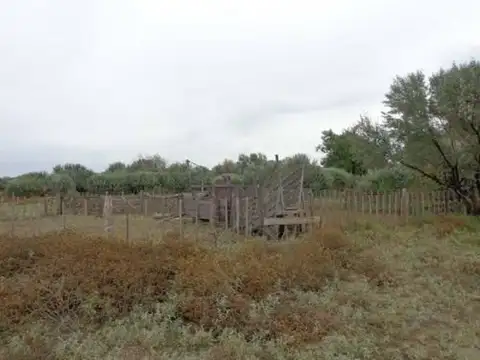 General Conesa, Río Negro 100