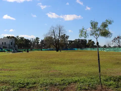 Terreno en Venta en Bella Vista, USD 140.000