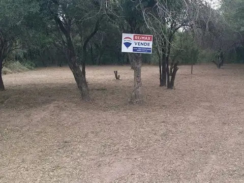 Avenida Victor Alcorta 100