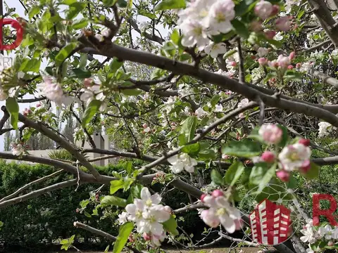 Casa en Venta 15 años