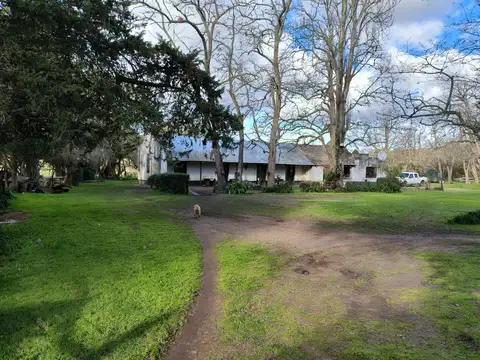 Campo en Venta Cría