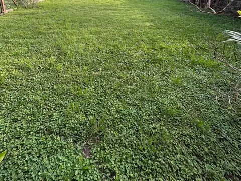 Terreno en Venta de 590,0 m2