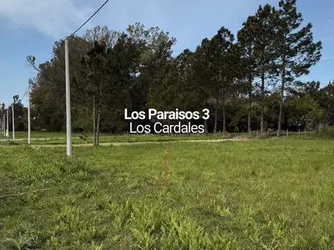 TERRENOS EN VENTA, BARRIO ABIERTO LOS PARAISOS 3, LOS CARDALES