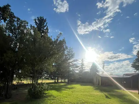 VENTA FINCA EN LUJAN DE CUYO