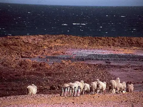 INMOBILIARIA COMODORO - Estancia Productiva y Refugio de vida silvestre.