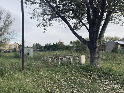 Terreno en Venta de 2000,0 m2