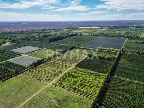 Ruta Provincial 7 100