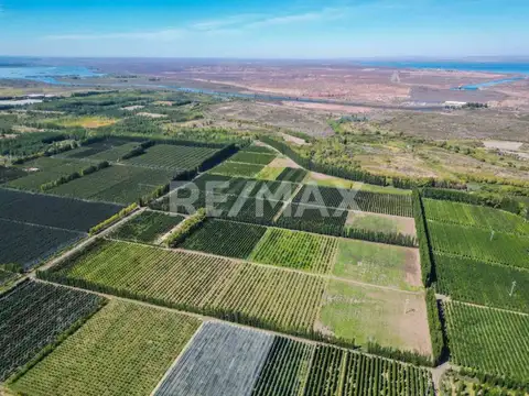 Ruta Provincial 7 100