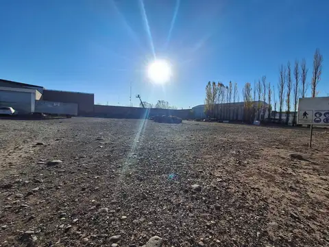 Pje. Auquinco 100