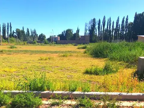 Lote 5 manzana C