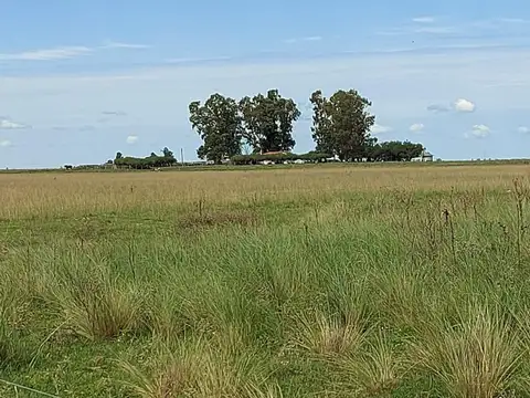 Campo en Venta de 472  ha