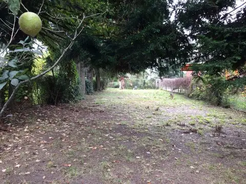 HERMOSO LOTE EN RANELAGH