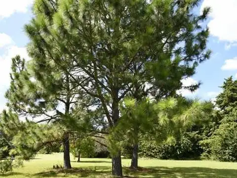 Terreno en Venta en San Diego, USD 650.000