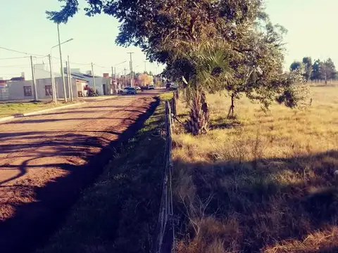 Terreno en Venta 50  mts Frente