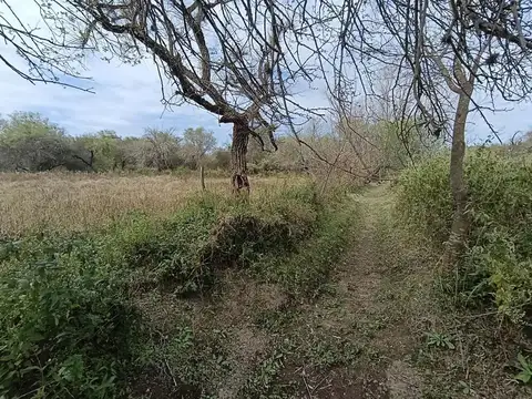 VENDO HECTAREAS - CAMINO DE LA COSTA -