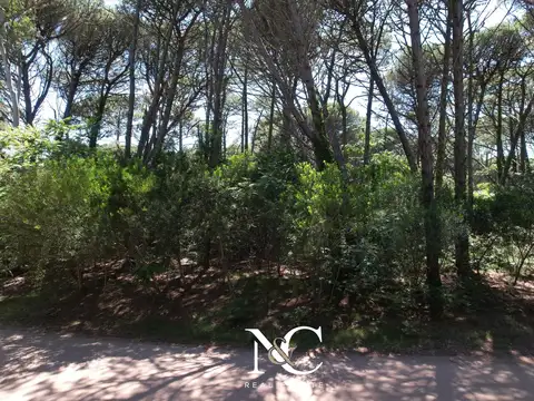 Terreno lote en venta en Carilo
