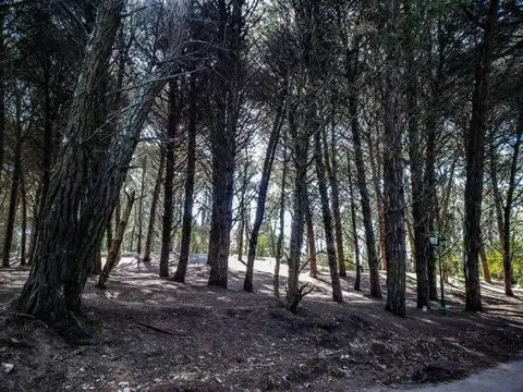 Terreno en Venta de 1164,0 m2