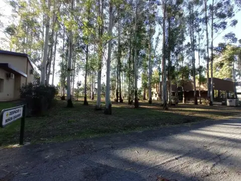 Puerto Paraíso.
