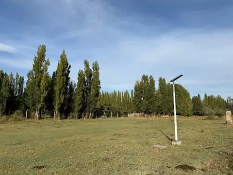 Avenida de los Constituyentes 2200