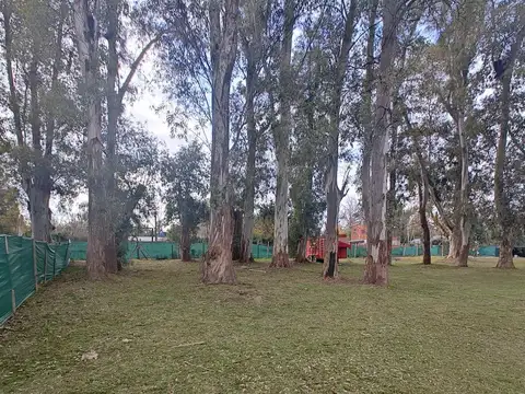 Terreno en Venta 12  mts Frente