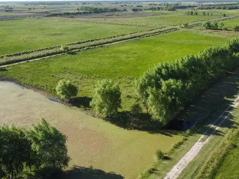 Terreno en Venta de 3600,0 m2