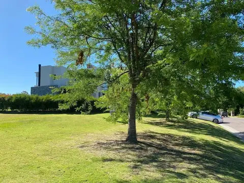 Terreno en Venta de 1039,0 m2