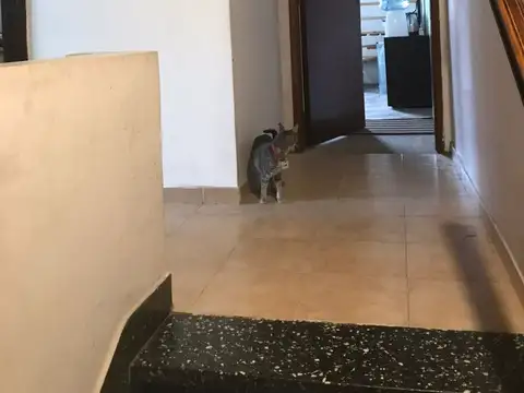 Departamento en Venta de 5 ambientes