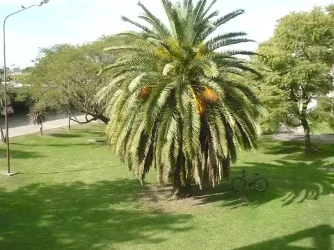Belgrano 1800, Piso 1°