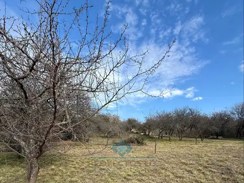 la pradera esquina fortin
