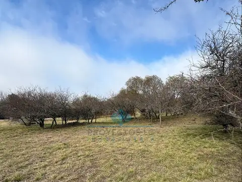 la pradera esquina fortin