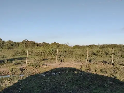 VENDO CAMPO CALCHAQUI