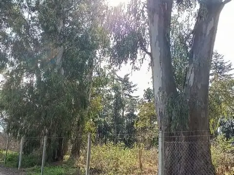 Terreno en Venta en Los Robles del Monarca, USD 59.000