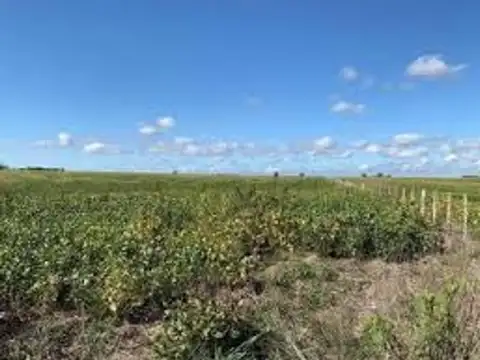 Campo en Venta de 37  ha