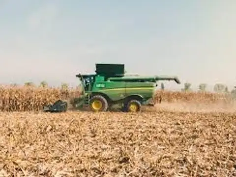 Campo en Venta Agrícola