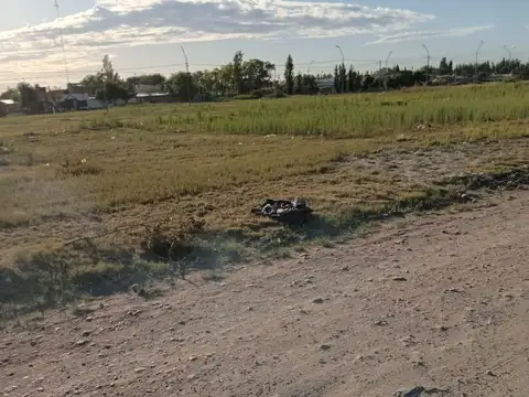 La Plata e/ Jujuy y Jamaica