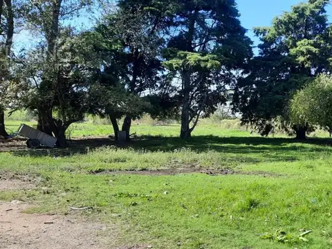Terreno en Venta 186  mts Fondo