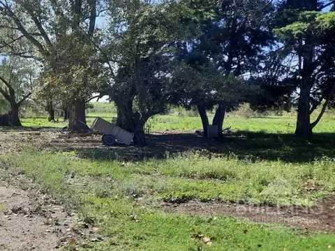 Terreno en Venta de 11955,0 m2