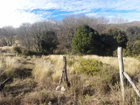 EXCELENTE LOTE EN DOLORES PUNILLA