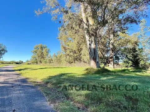 Hermoso Terreno en Pinares.