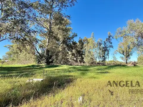 Hermoso Terreno en Pinares.