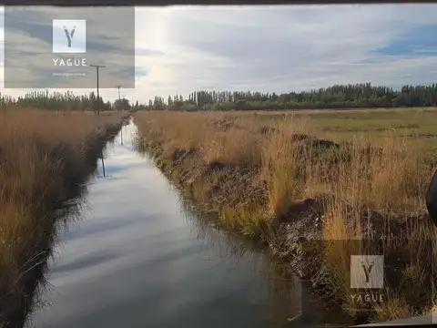 Excelente campo productivo, agricola y ganadero, excelentes instalaciones.