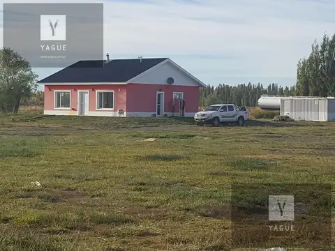 Excelente campo productivo, agricola y ganadero, excelentes instalaciones.