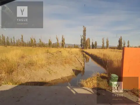 Excelente campo productivo, agricola y ganadero, excelentes instalaciones.