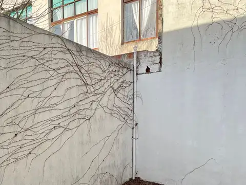 Local en Venta en Berisso, USD 50.000