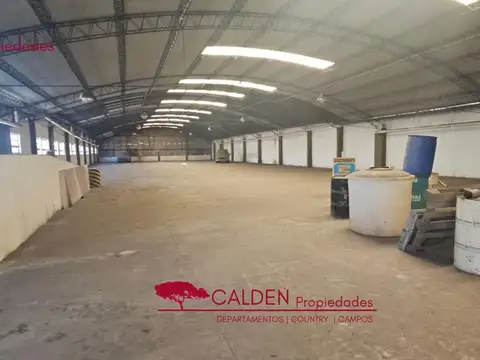 Local en Alquiler 8 años