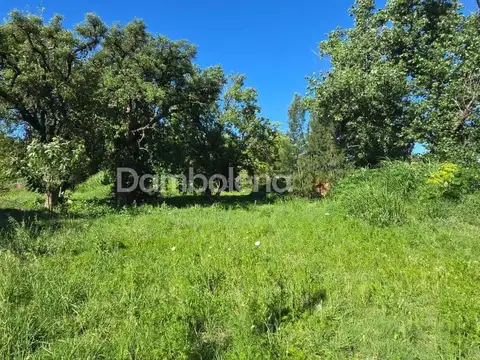 Terreno en Alquiler de 8100,0 m2