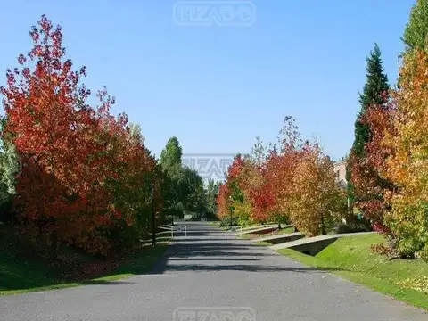 Terreno en Venta de 537,0 m2