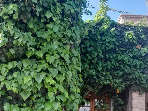 Pasaje del Plata 1541. Perdriel. Luján de Cuyo